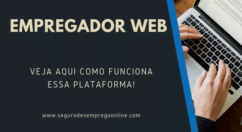 Empregador WEB